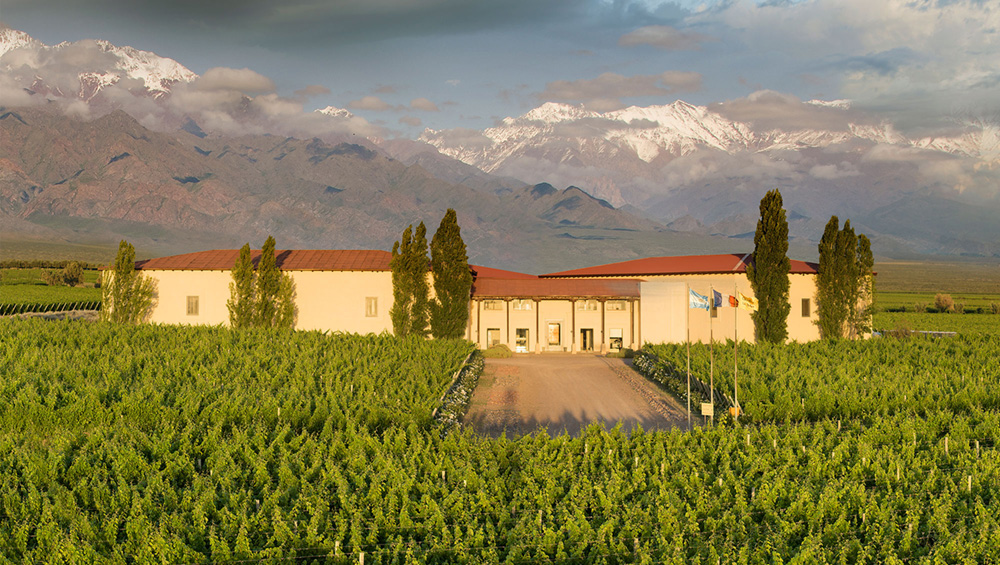 Cuvelier Los Andes — vista del proyecto